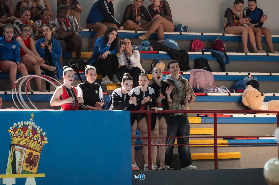 gimnasia ritmica-3
