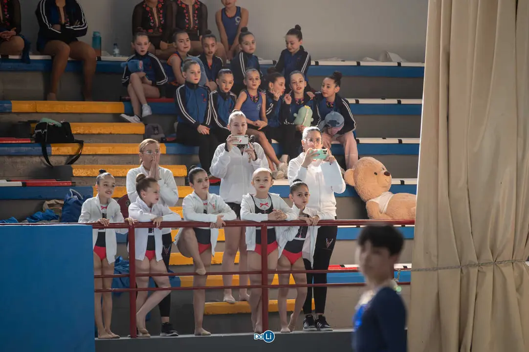 gimnasia ritmica-44