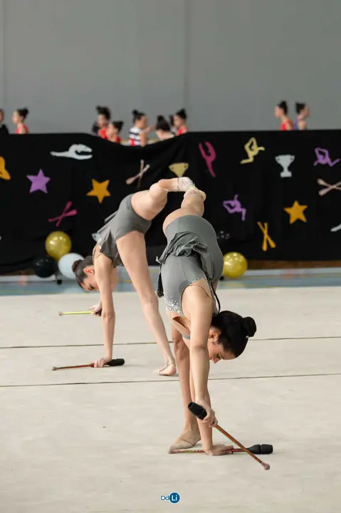 gimnasia ritmica-69