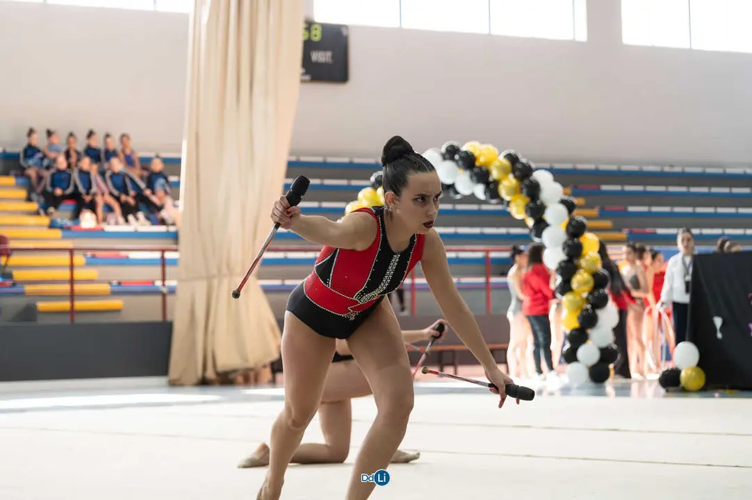 gimnasia ritmica-79