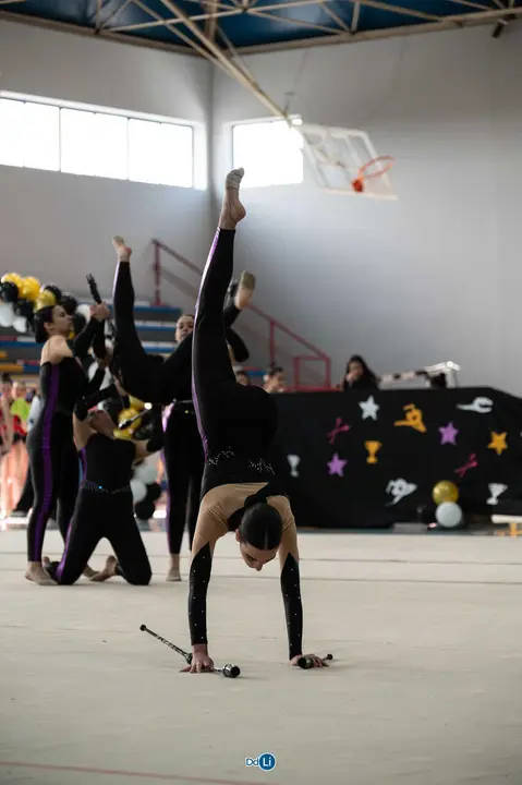 gimnasia ritmica-99