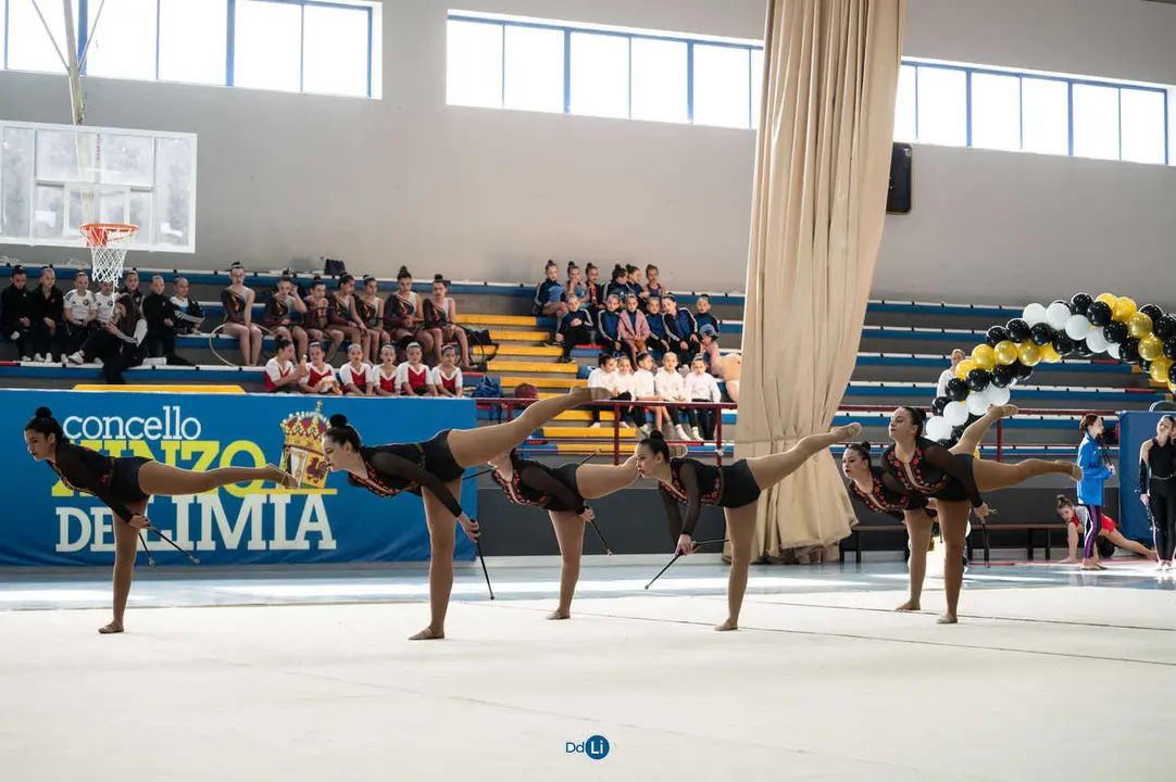 gimnasia ritmica-105