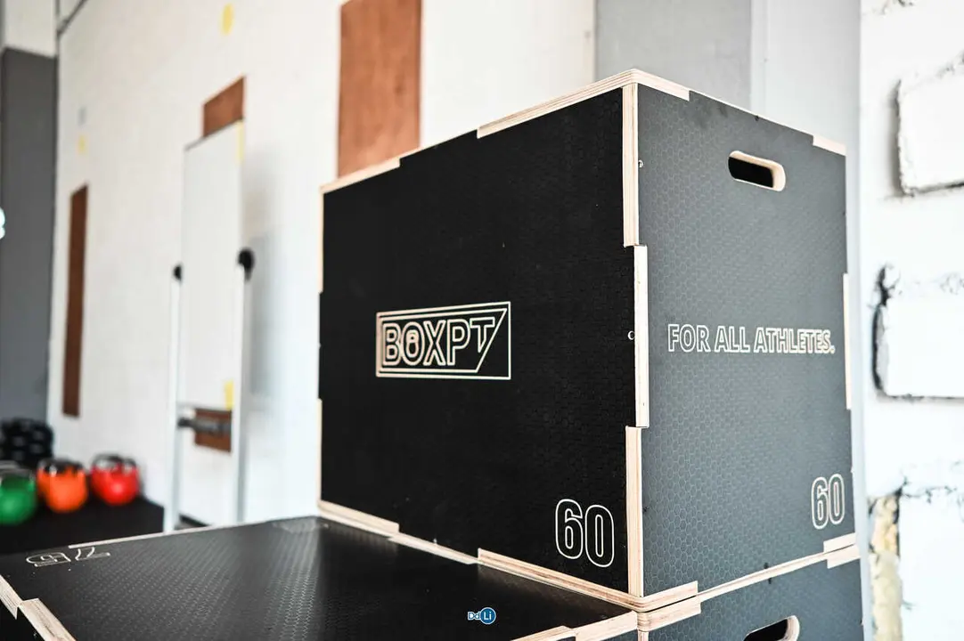 castrexos box-23