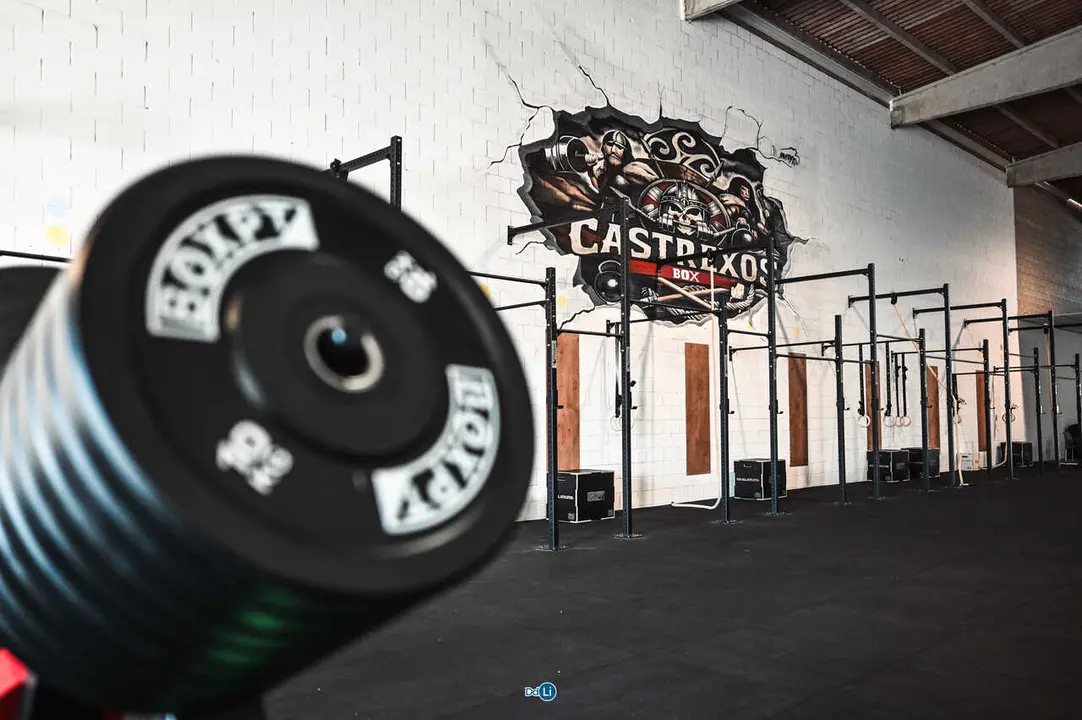 castrexos box-26