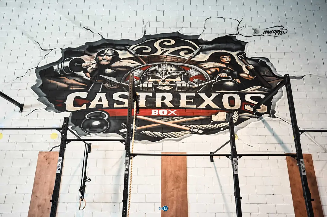 castrexos box-49