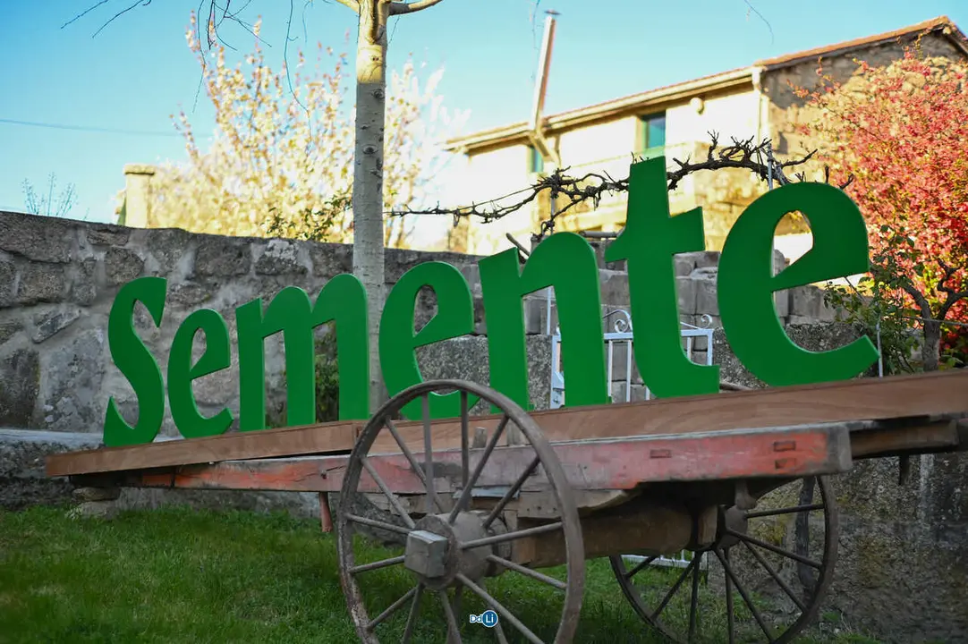 sementes-18