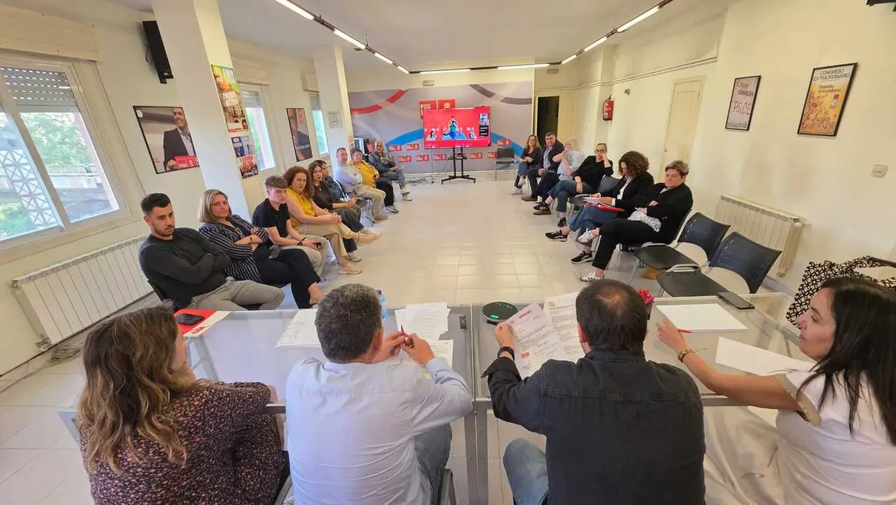Los miembros de la Comisi&oacute;n Ejecutiva Provincial del PSdeG-PSOE analizan la hoja de ruta para los pr&oacute;ximos meses en la sede de Ourense.