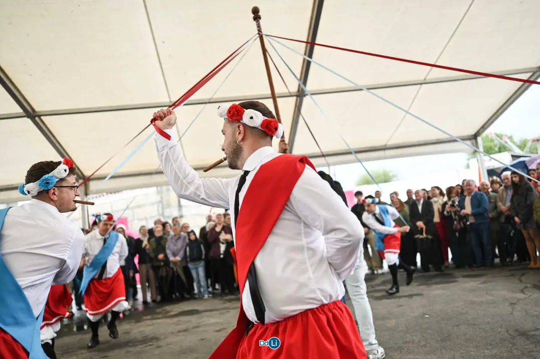 danzantes de lamas-8
