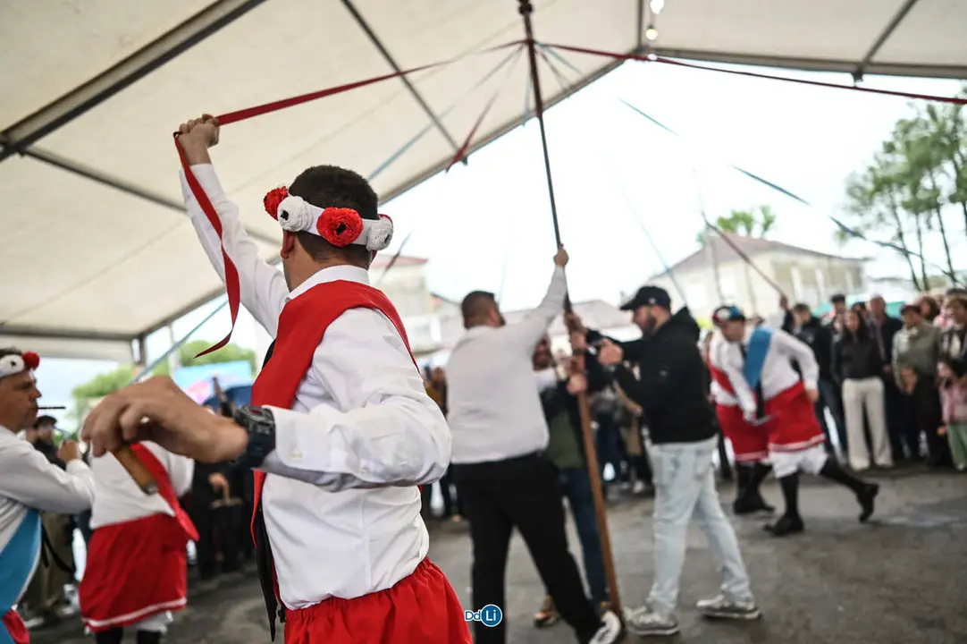 danzantes de lamas-19