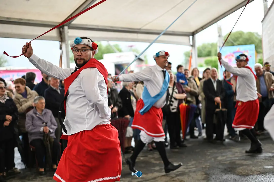 danzantes de lamas-33