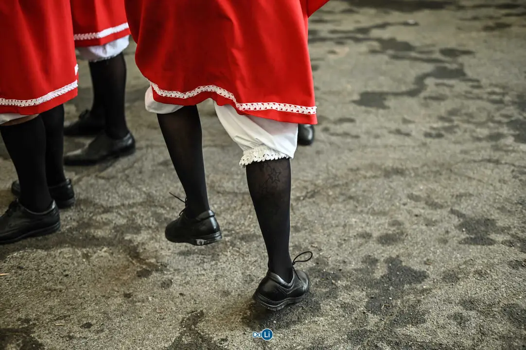 danzantes de lamas-49