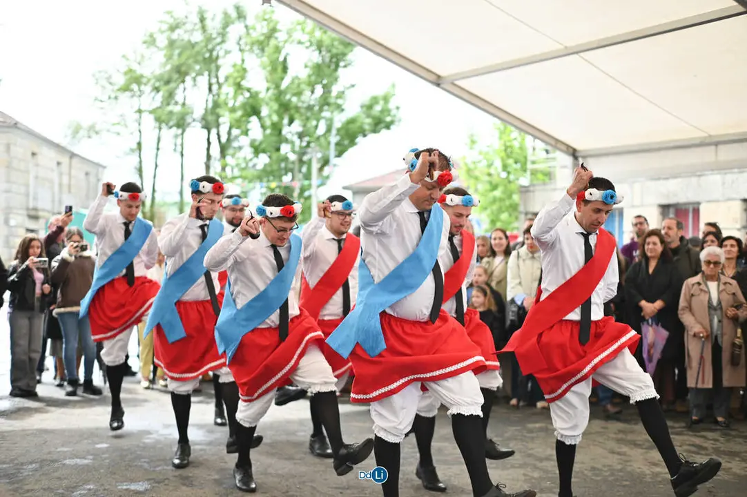 danzantes de lamas-82