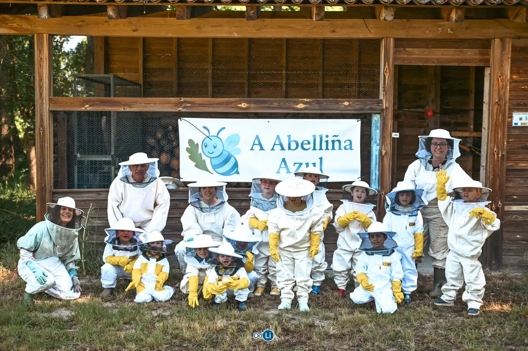 a abelli&ntilde;a azul-27