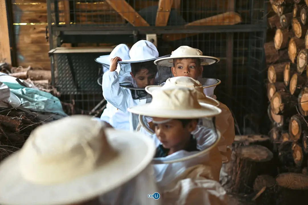 a abelli&ntilde;a azul-34