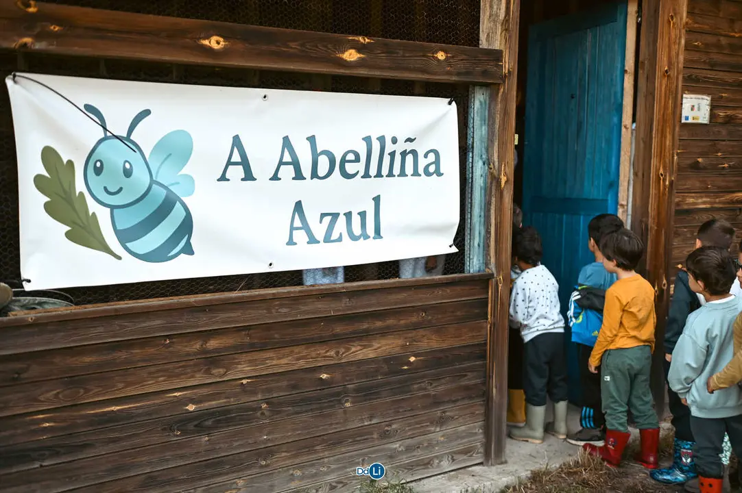 a abelli&ntilde;a azul-43