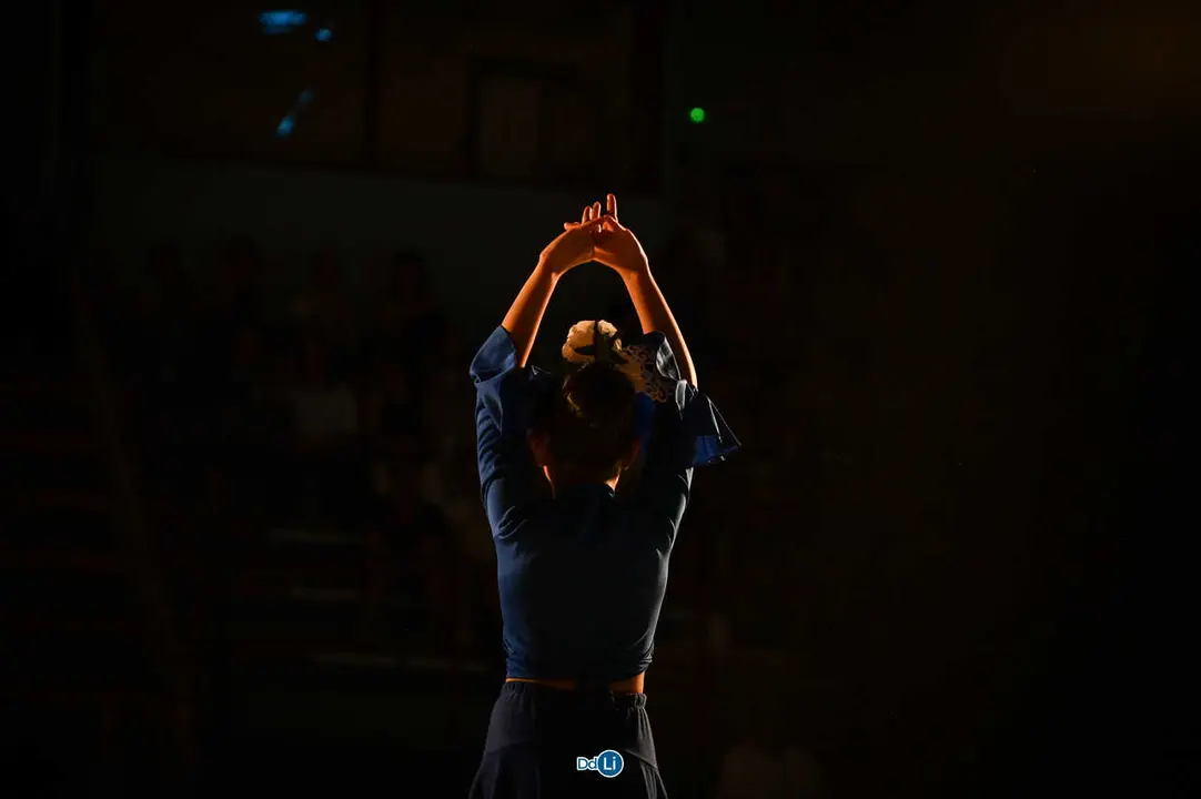 danzon 2026 con logo-153