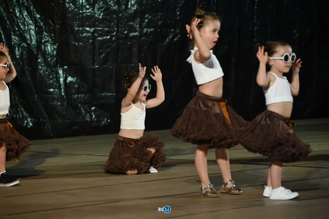 danzon 2026 con logo-270