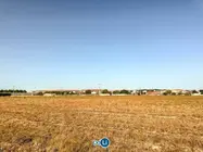 Xa esta tarde se rexistraron altas temperaturas nos campos do interior. | FOTO: Noelia Caseiro.