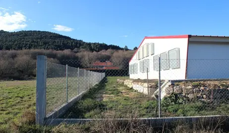Granxa de polos en Rairiz. Ampliaci&oacute;n. TSXG (4)