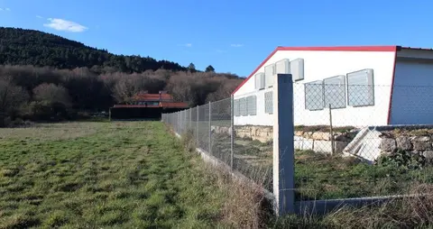 Granxa de polos en Rairiz. Ampliaci&oacute;n. TSXG (5)