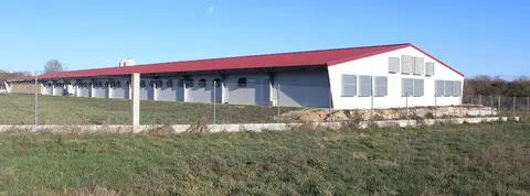Granxa de polos en Rairiz. Ampliaci&oacute;n. TSXG (6)