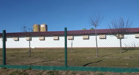 Granxa na Limia, no concello de Sarreaus, na estrada de Xinzo a Vilar de Barrio. (1)