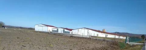 Granxa na Limia, no concello de Sarreaus, na estrada de Xinzo a Vilar de Barrio. (2)