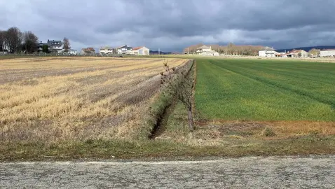 A Limia. Terra. Sarreaus (2)