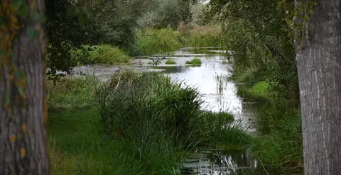 R&Iacute;O Limia. FOTO Noelia Caseiro