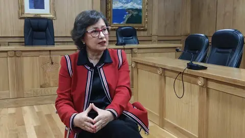 Elvira Lama seguir&aacute; como diputada provincial dentro del grupo socialista.