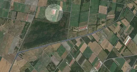 &Aacute;rea de granxas na parroquia de B&oacute;veda. No c&iacute;rculo, a explotaci&oacute;n obxecto de ampliaci&oacute;n. FOTO Google maps