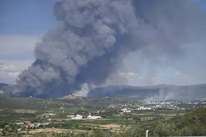 Arde Ver&iacute;n 1