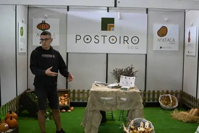ALIMAGRO 16. expo