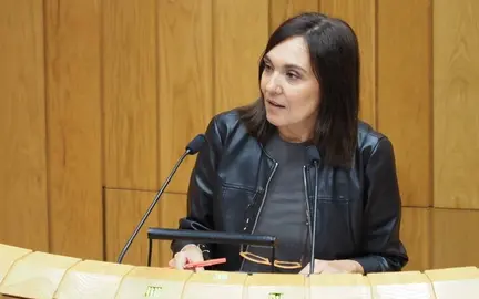 A parlamentaria socialista Carmen Rodr&iacute;guez Dacosta.