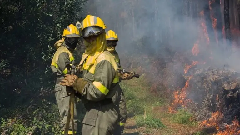 Brigada contra incendios forestales. | FOTO Concello de Vilar de Santos.