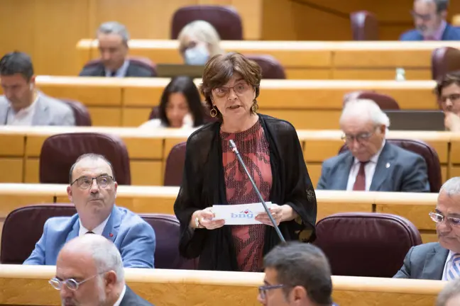 A senadora Carme da Silva M&eacute;ndez durante unha intervenci&oacute;n no Senado