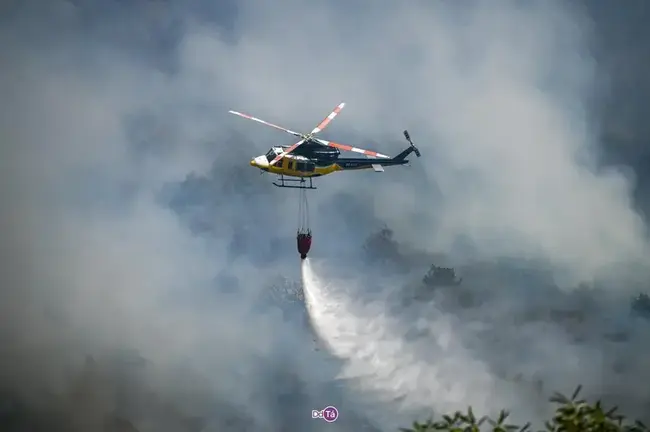 Imagen de archivo de los incendios en 2025.
