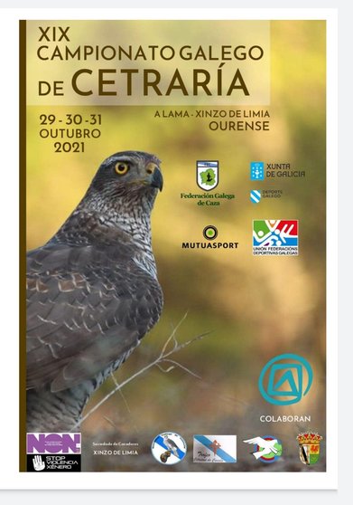 Cartel do XIX Campionato Galego de Cetraría. | FOTO: Federación Galega de Caza.