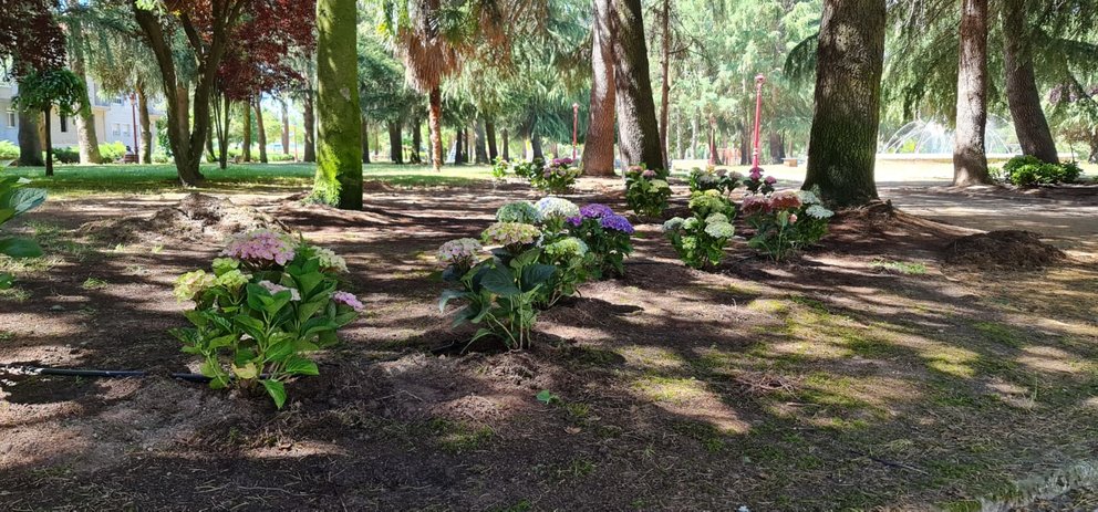 Saneamento das zonas verdes no Parque do Toural de Xinzo