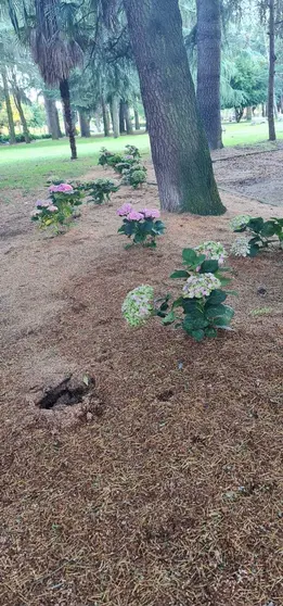 Actos vandálicos no parque do Toural de Xinzo de Limia.