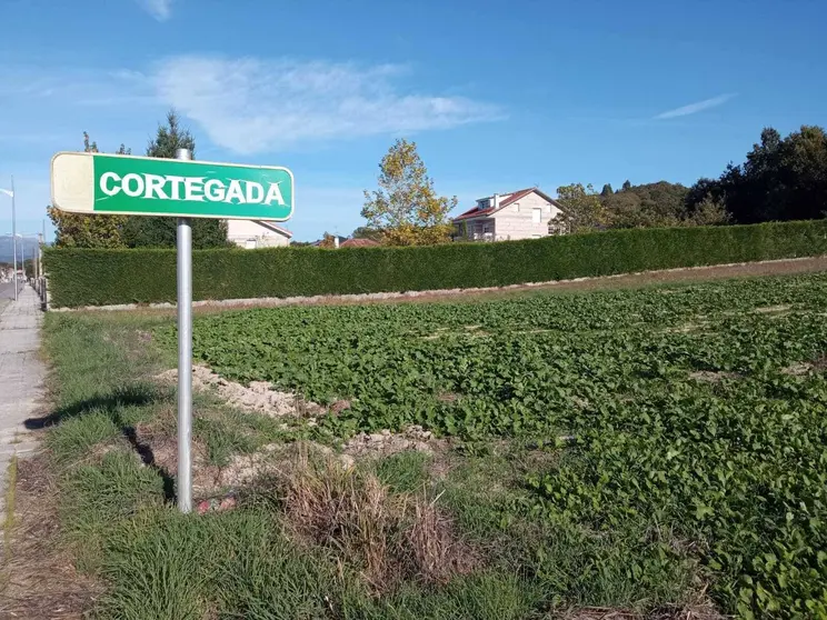 A zona de construción da nova planta de biometano estará preto de Cortegada. | FOTO: Laura Rodríguez.