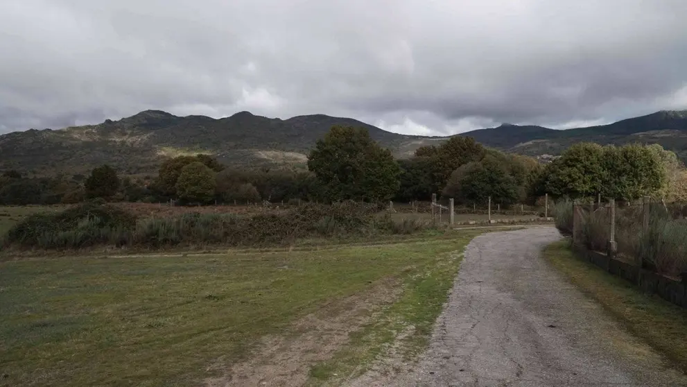 Terreo da granxa de Calvos de Randín.