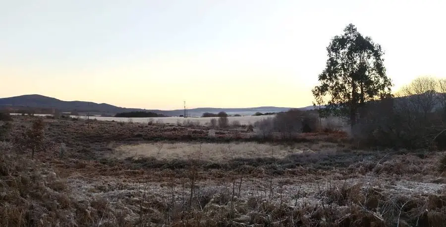 Calvos de Randín, a primeira hora da mañá deste martes