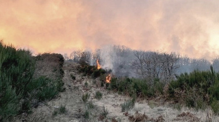 Imaxes incendio en Baltar. BRIF Laza 30.01 (1)