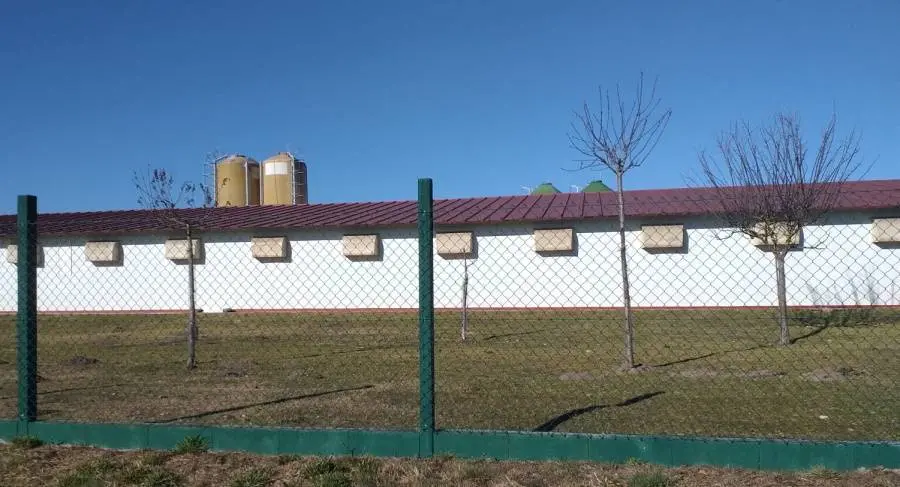 Granxa na Limia, no concello de Sarreaus, na estrada de Xinzo a Vilar de Barrio. (1)