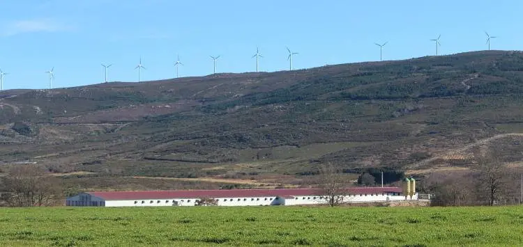 Eólicos en Baltar.