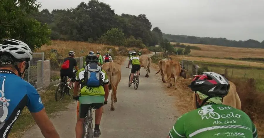 Ruta do Cocido BTT en Trasmiras. Previa (1)