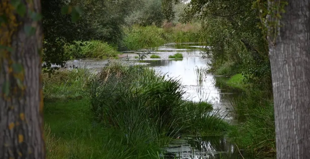 RÍO Limia. FOTO Noelia Caseiro