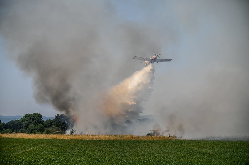 Incendio forestal en Lamas Xinzo (1)