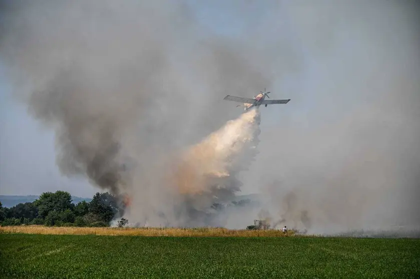 Incendio forestal en Lamas Xinzo (1)